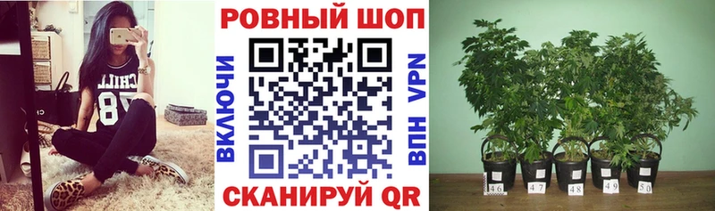 Сколько стоит Кемерово АМФ  Марихуана  КЕТАМИН  Альфа ПВП  Метамфетамин  ГАШ  МЕФ  КОКАИН 