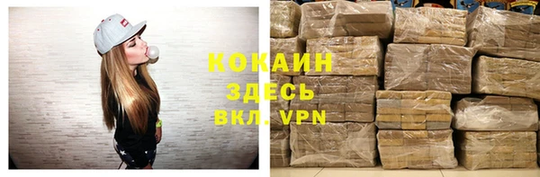 индика Арсеньев