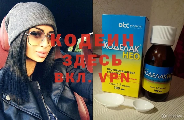 индика Арсеньев