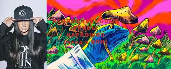 спиды Алексеевка