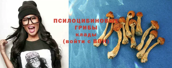 спиды Алексеевка